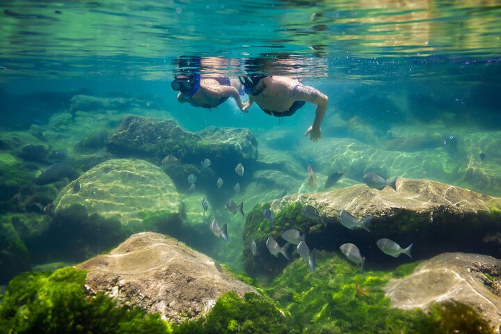 Tulum Guided Tour, Magical Cenote, Lagoon Snorkeling and Beachside Lunch