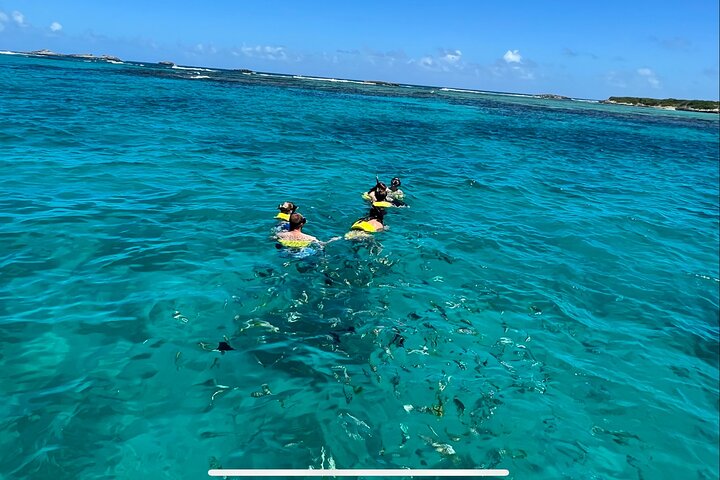 Private All Inclusive East Coast Keys Tour and Snorkel Experience