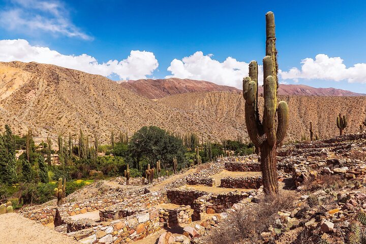 4 days 4 destinations in North Argentina
