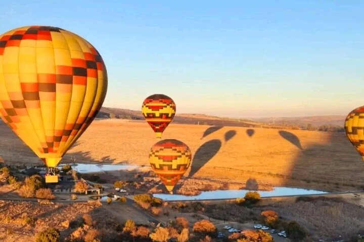 Air Ballooning Safari Experience from Johannesburg and Pretoria