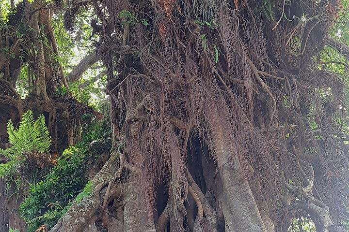 3 Nights Stay in Tanna including Accommodation, meals & transfers