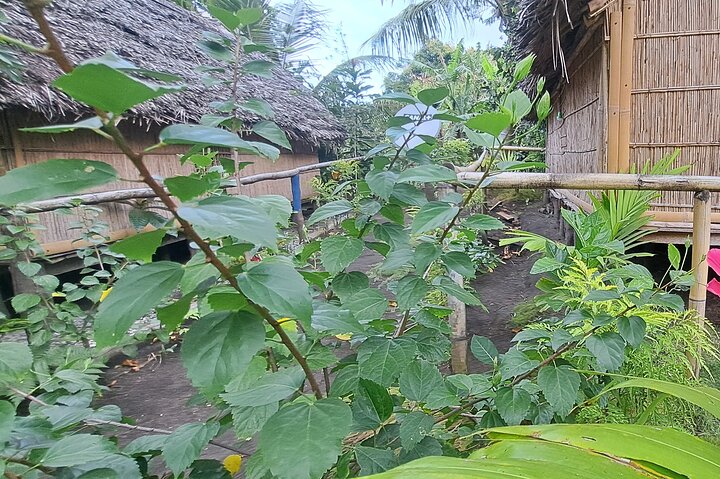 3 Nights Stay in Tanna including Accommodation, meals & transfers