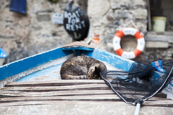 Private Tour: Cinque Terre from La Spezia