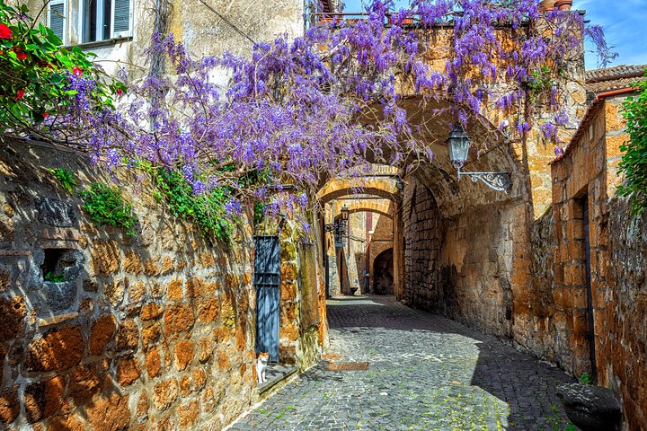 Orvieto and Civita di Bagnoregio from Civitavecchia - Private Tour