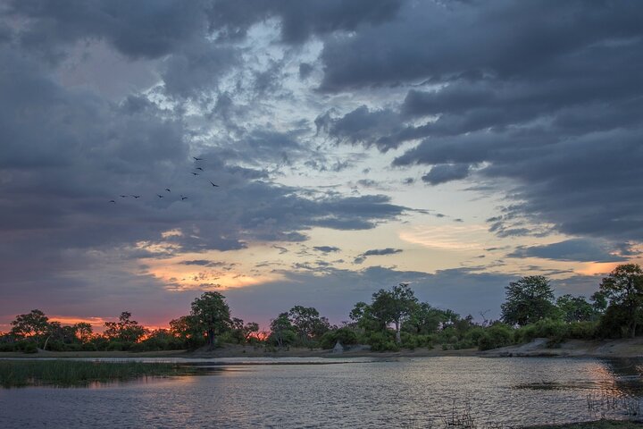 Chobe Day Trip Safari from Livingstone