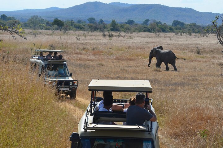 From Zanzibar: Mikumi 1-Day Safari with Scenic Flight & Lunch