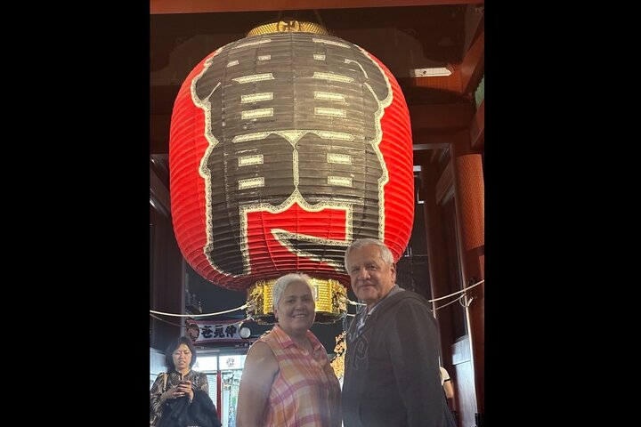 Tokyo: Private 5-Hour Layover Tour - Haneda/Narita Airports