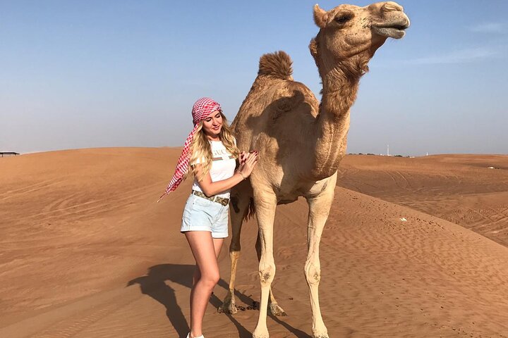 Dubai Morning 4 Hrs Safari Sharing Jeep Sand Boarding &Camle Ride