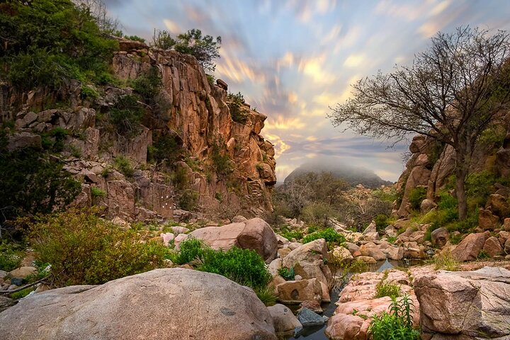 Embark On a Hiking Adventure in Taif