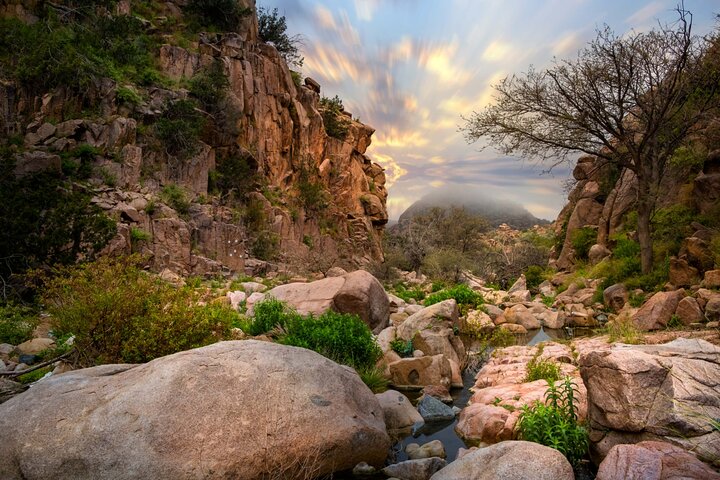 Embark On a Hiking Adventure in Taif