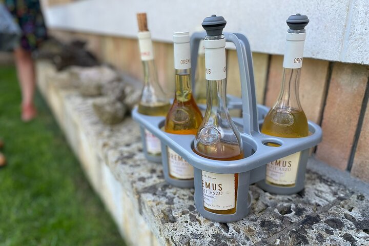 Tokaj Sky Bridge with Wine Experience