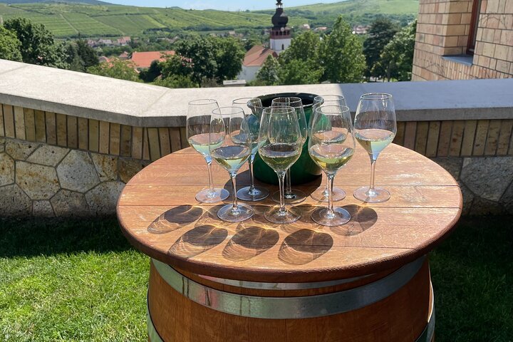 Full-Day Tokaj Wine & Cellar Tour from Kosice