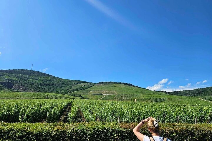 Full-Day Tokaj Wine & Cellar Tour from Kosice
