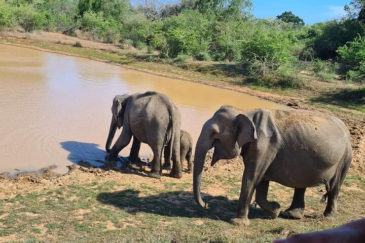 Yala National Park Safari Tour From Hambantota Port