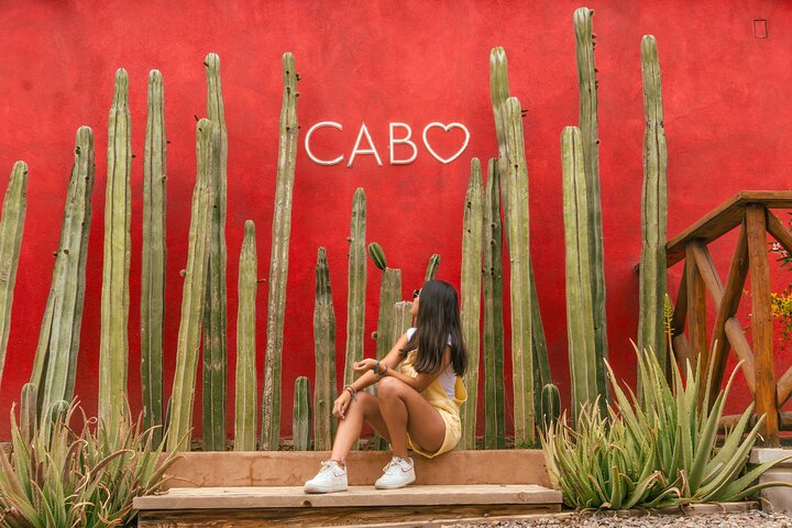 Cabo ATV Tour, Camel Ride with Tequila and Mexican Buffet Lunch