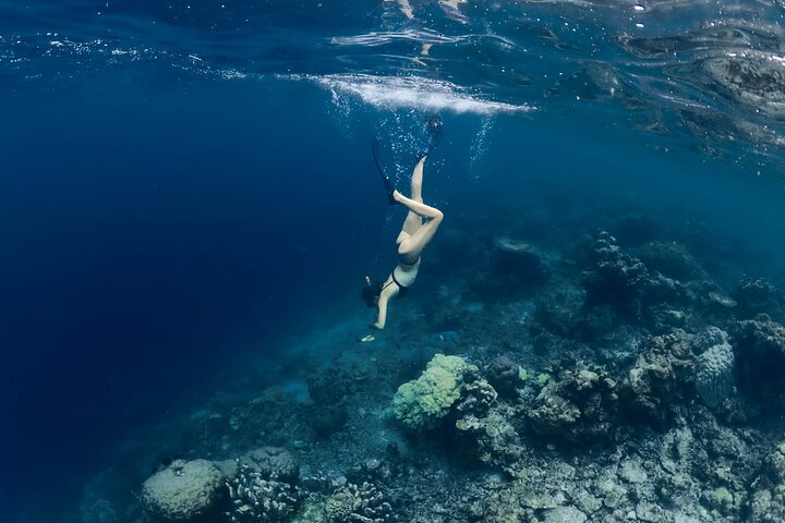 Los Cabos Luxury Sailing, Snorkel and Lunch Cruise