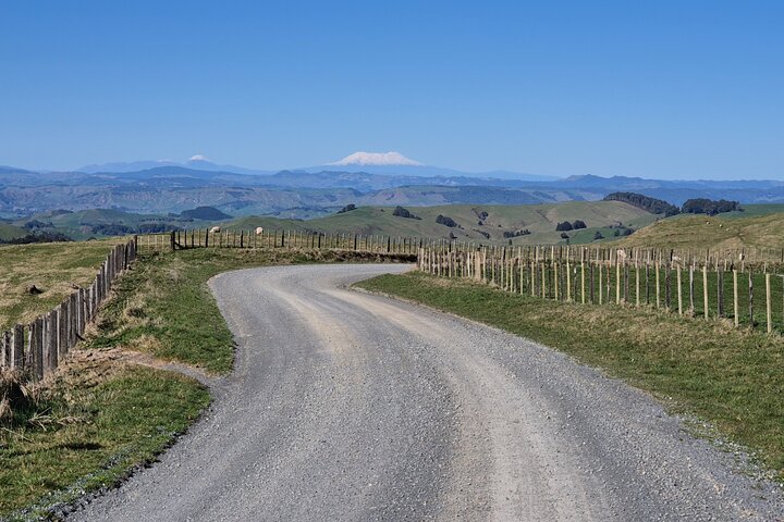 Bike Rental in Waitomo Caves