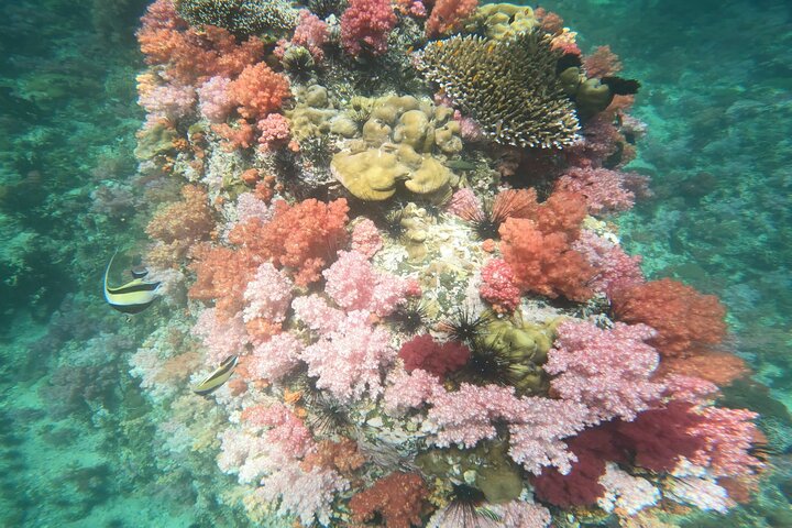 Private Experience with Fishing, Barbeque, Sashimi and Snorkeling