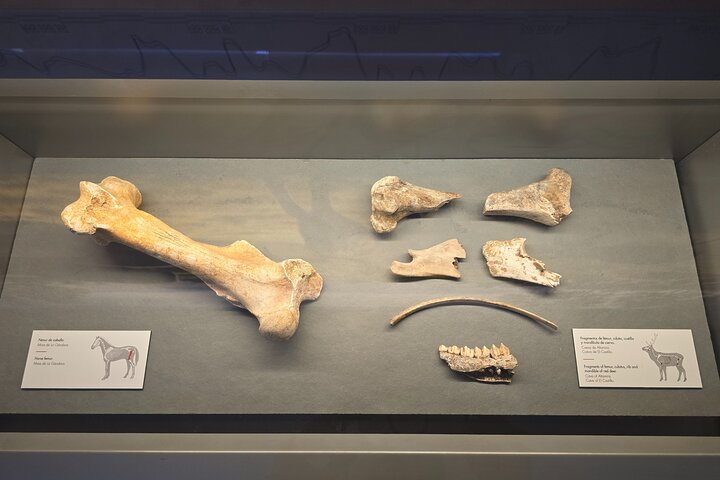 Private Walking Tour of Altamira and Neocave Museum