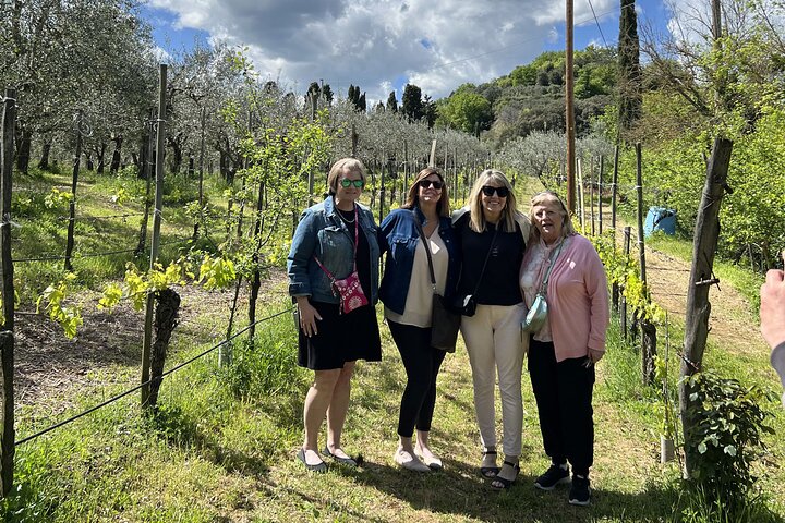 Visit to the Cinta Senese farm in Montepulciano