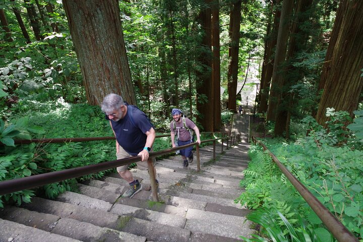 Togakushi: A Serene Walk Through Sacred Forests & Soba Traditions