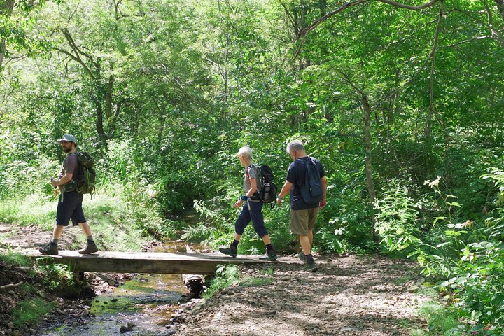 Togakushi: A Serene Walk Through Sacred Forests & Soba Traditions