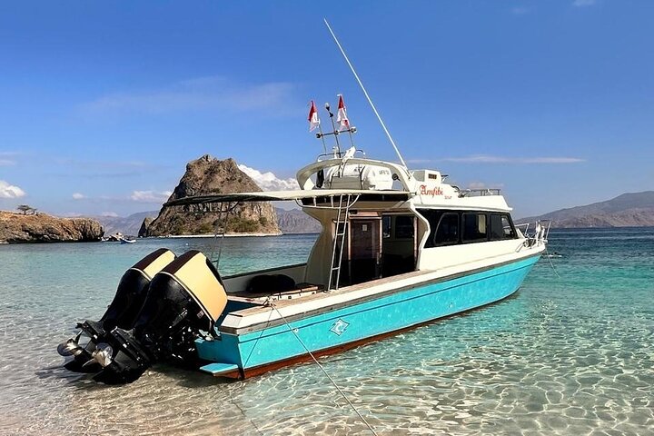 Early Morning Group Speedboat Tour to Komodo National Park