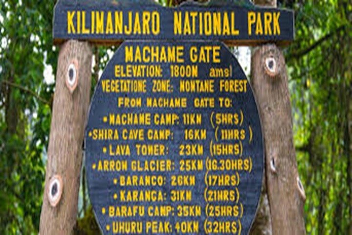 Best 1# day Kilimanjaro trek Machame with Kilinge Adventure