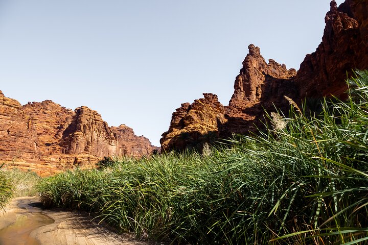 Wadi Disah Adventure from Tabuk | Al Ula