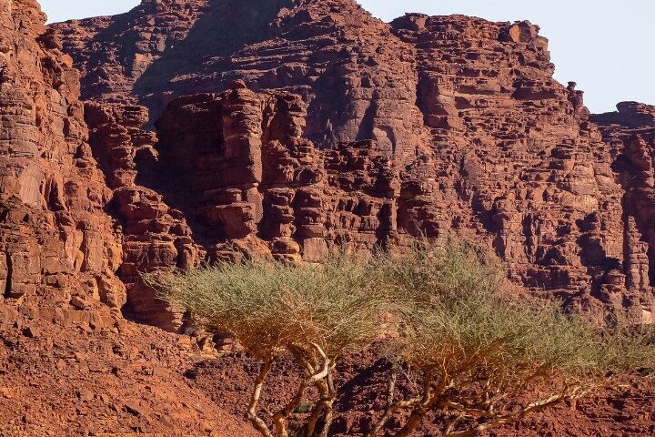 Wadi Disah Adventure from Tabuk | Al Ula