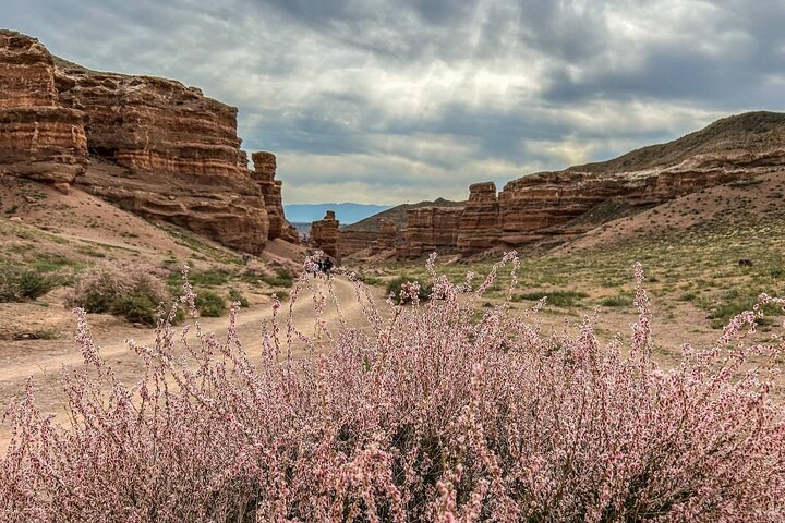 Kolsai, Kaindy Lakes and Charyn Canyon Small Group Tour