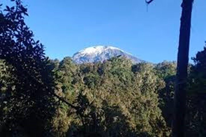 Best Kilimanjaro hiking day trip tour From Arusha/Moshi
