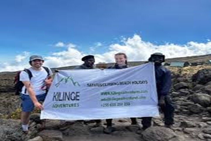 Best Kilimanjaro hiking day trip tour From Arusha/Moshi