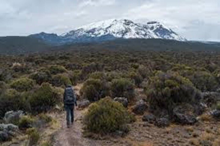 Best Kilimanjaro hiking day trip tour From Arusha/Moshi