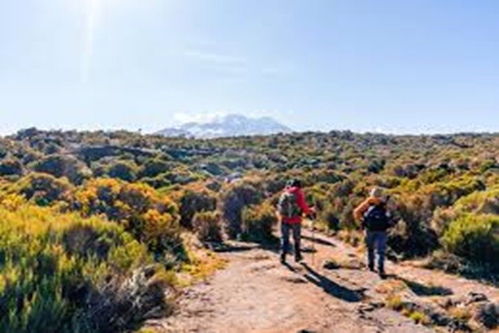 Best Kilimanjaro hiking day trip tour From Arusha/Moshi