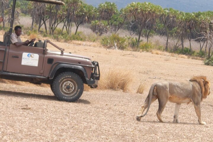 From Zanzibar: Mikumi Safari Day Trip with Flights and Meal