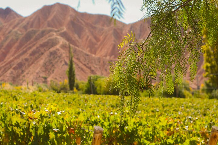 Jujuy Wine Route (Quebrada de Humahuaca)