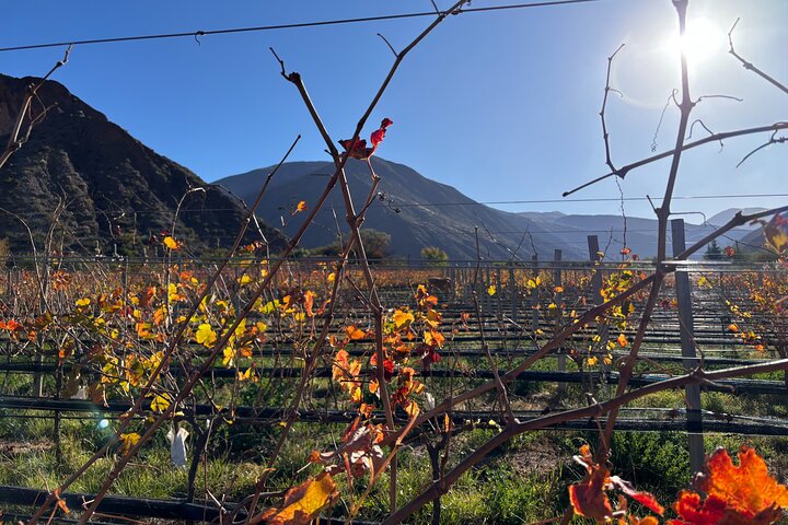 Jujuy Wine Route (Quebrada de Humahuaca)