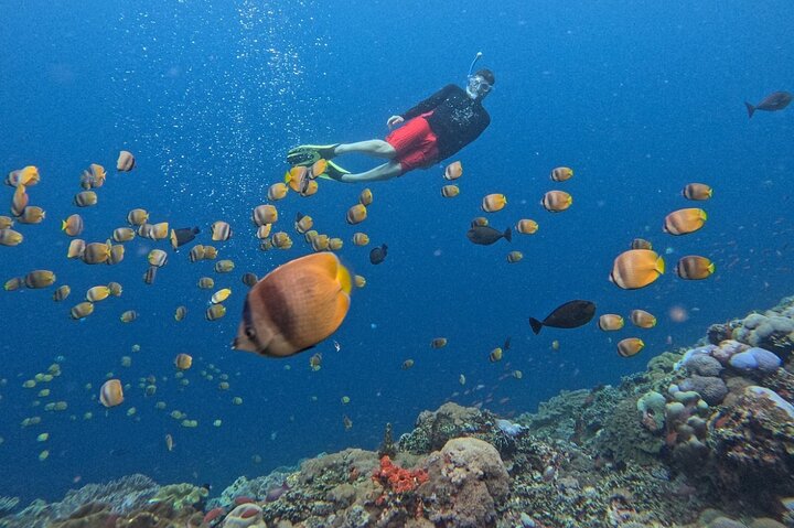 All Inclusive : Bali Blue Lagoon Snorkeling, Lunch, and Transport