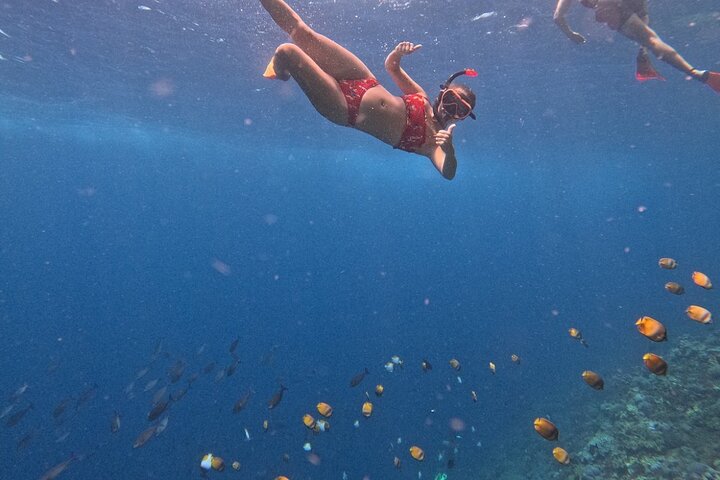 All Inclusive : Bali Blue Lagoon Snorkeling, Lunch, and Transport