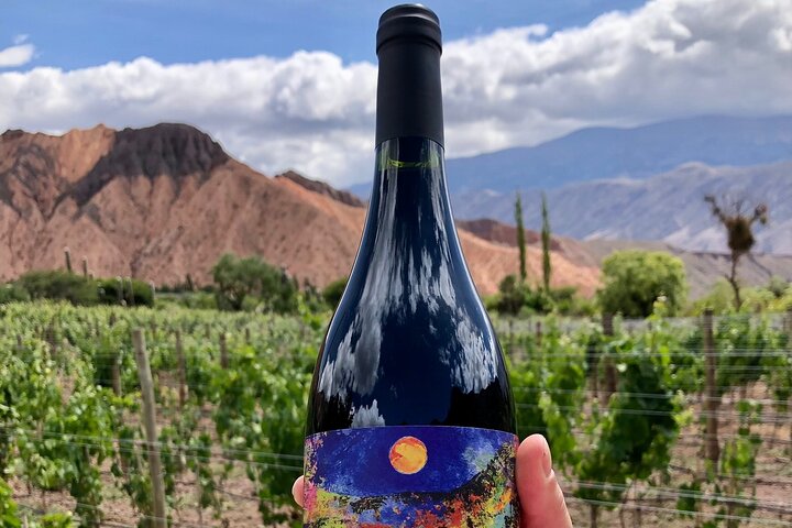 Jujuy Wine Route (Quebrada de Humahuaca)