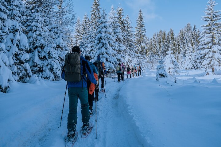 Montenegro Snowshoeing Durmitor