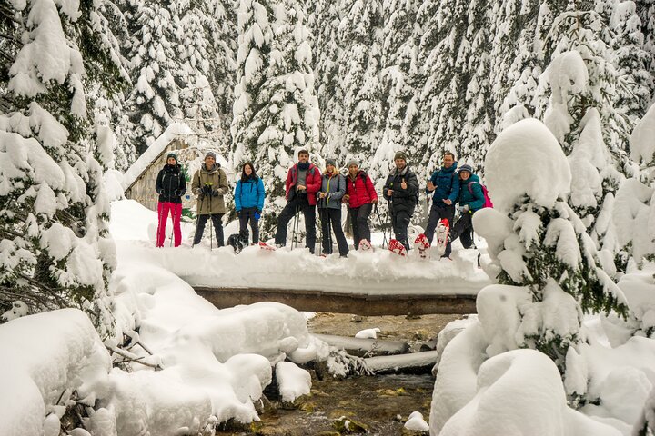 Montenegro Snowshoeing Durmitor