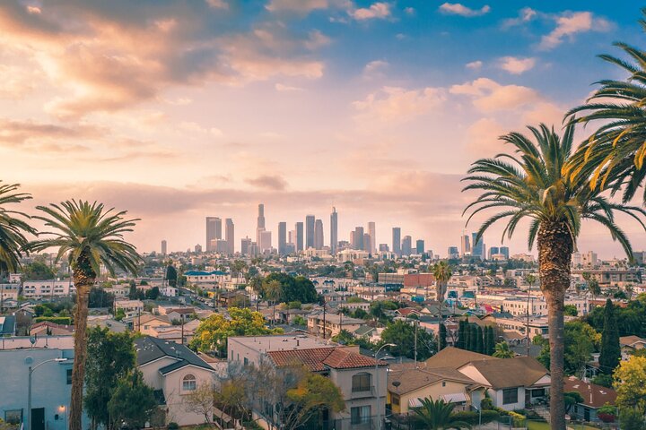 Los Angeles: Private Transfer to/from Los Angeles LAX Airport