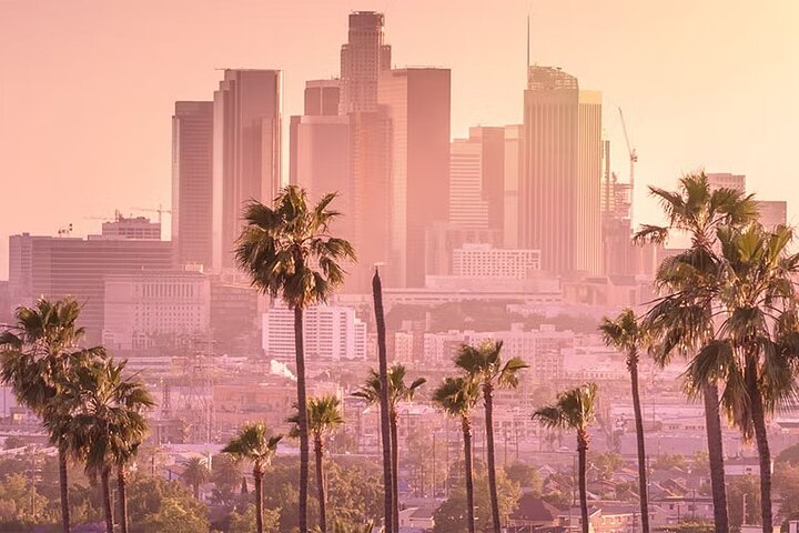 Los Angeles: Private Transfer to/from Los Angeles LAX Airport
