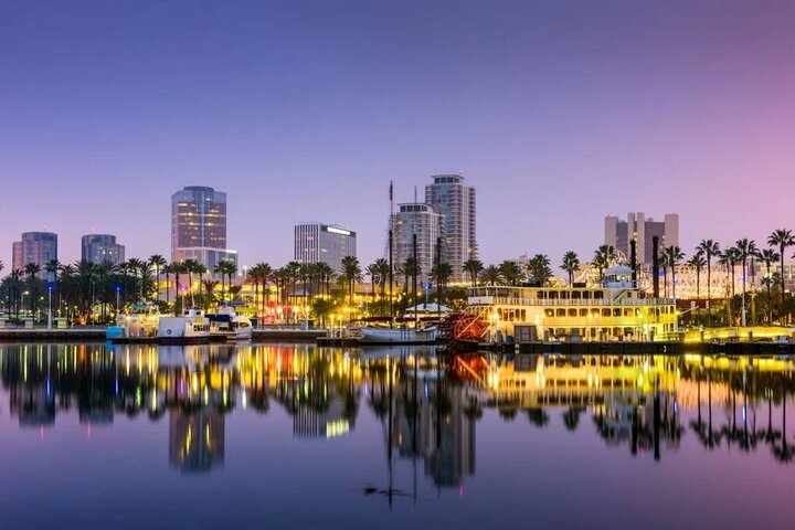 Los Angeles: Private Transfer to/from Los Angeles LAX Airport