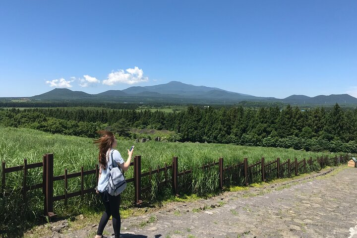 Jeju East Small-Group(Max 12) Bestseller Tour- From Seogwipo