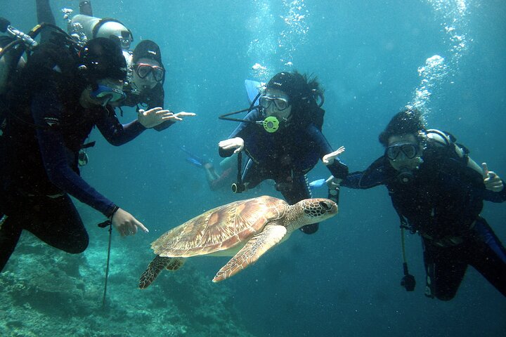 Semporna Mabul and Kapalai Trip in Snorkel or Dive and Lunch