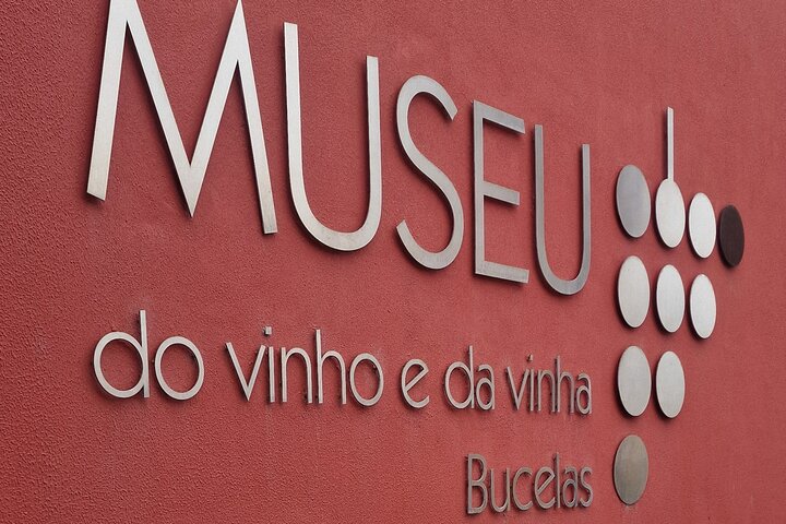 Lisbon Region Wine Tour: Mafra & Ericeira + Hotel Pick-Up