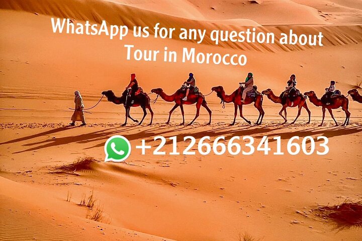 Overnight From Erfoud to Erg Chebbi Merzouga with Camel Ride